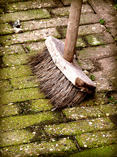 Photo by Judy van der Velden on Flickr.